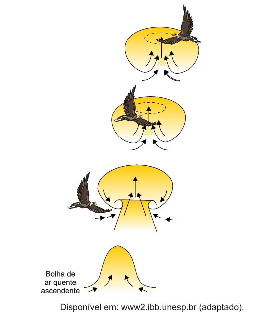 Captura de tela_20-10-2025_125225_.jpeg